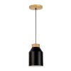 COLGANTE 1L E27 VIBRANCE NEGRO - D15CM COLGANTE 1L E27 VIBRANCE NEGRO - D15CM