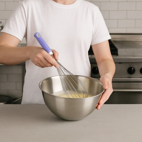 Batidor de Acero Inoxidable y Fibra de Vidrio 25 cm Batidor de Acero Inoxidable y Fibra de Vidrio 25 cm
