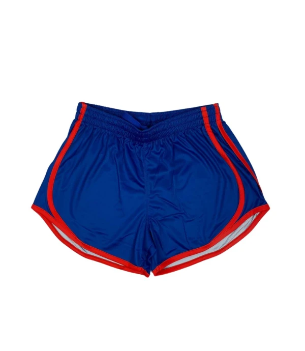 Short Handball The Anglo School Blue