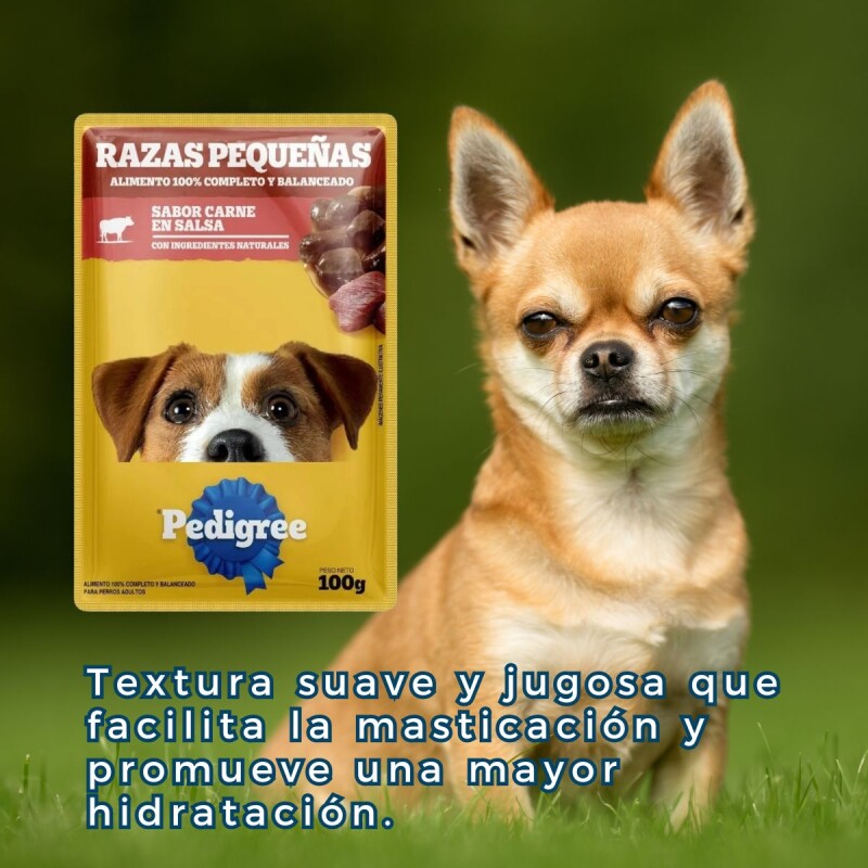 PEDIGREE EN SALSA RAZAS PEQUEÑAS CARNE 85 GRAMOS PEDIGREE EN SALSA RAZAS PEQUEÑAS CARNE 85 GRAMOS