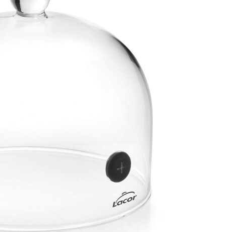 Campana Ahumadora 16 x 12 cm Campana Ahumadora 16 x 12 cm