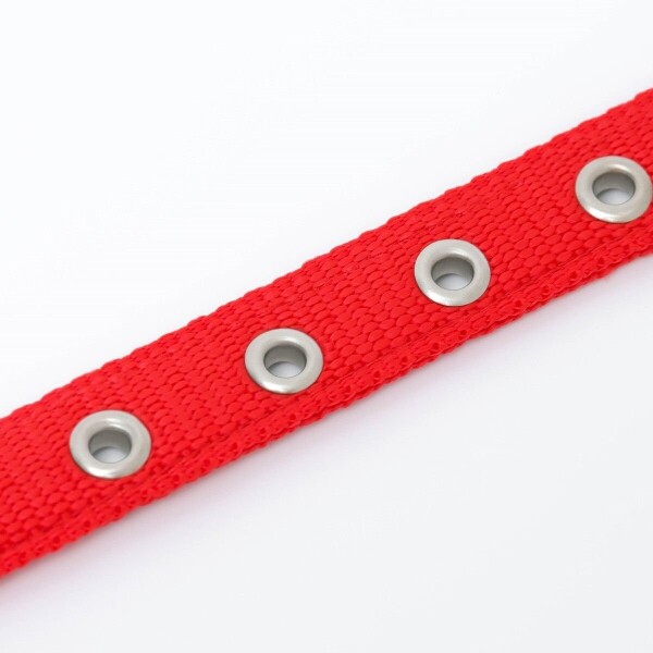 Collar Ajustable Reforzado Hebilla Nylon Perro Gato Mediano Variante Color Rojo