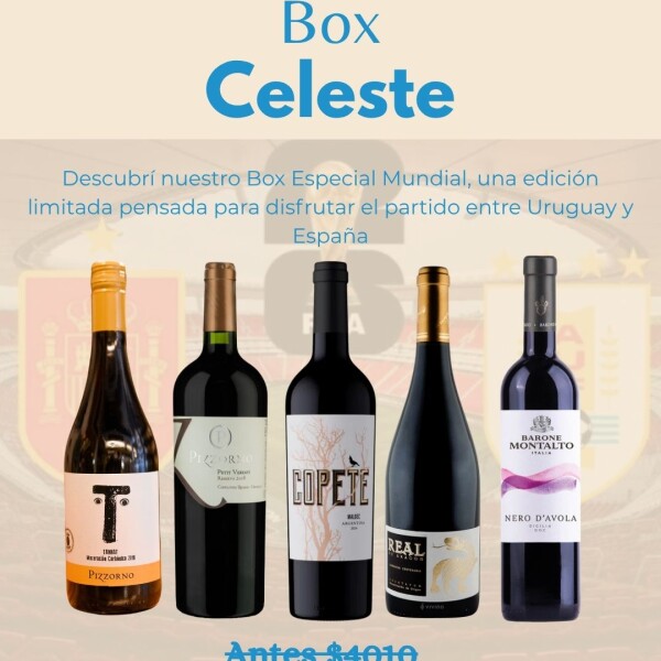 Box Celeste Box Celeste