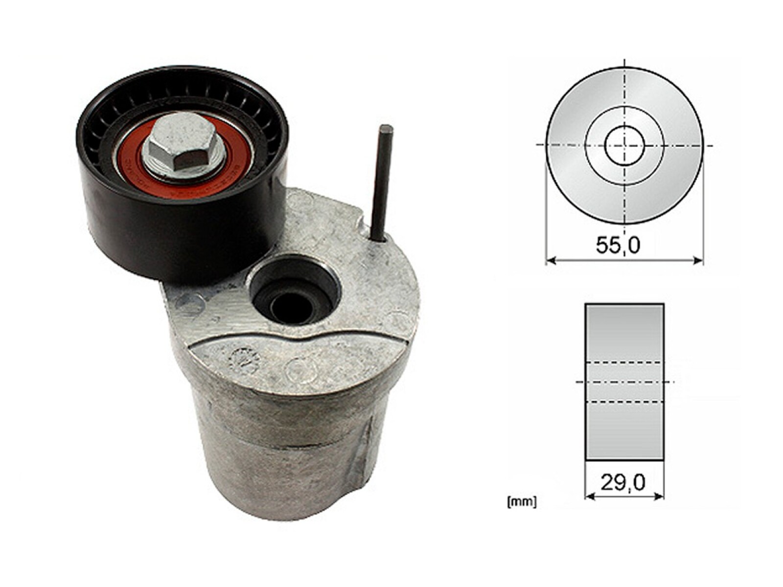 Tensor De La Correa BMW 320 Td (E90)/120 D (E81) 04-10 