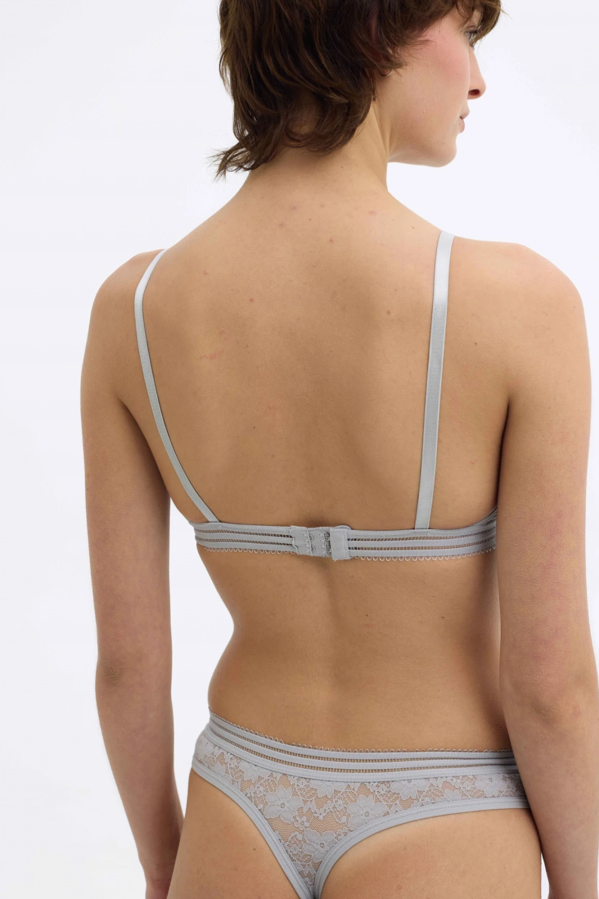 Colaless Evelia Gris