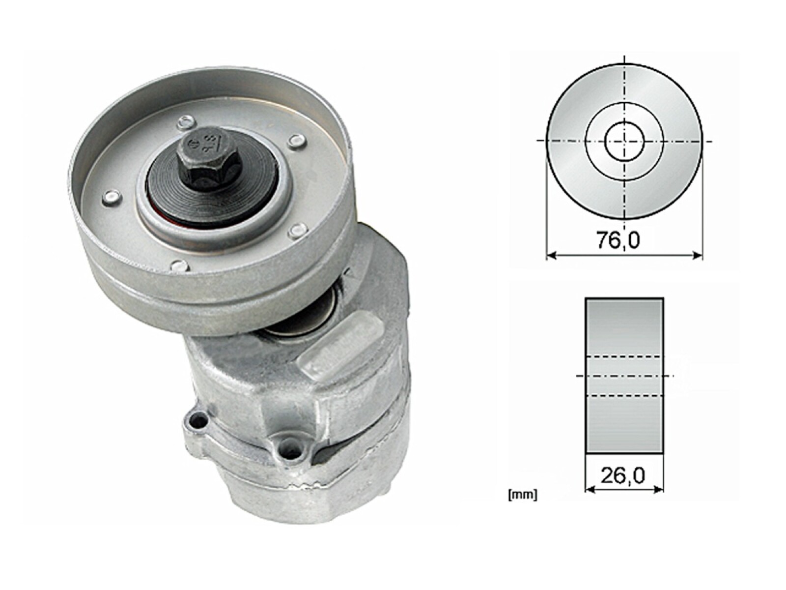 Tensor De La Correa Volvo S40 95-25 