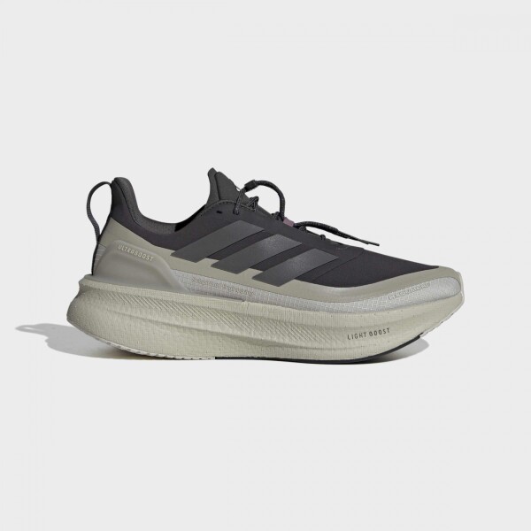Championes Adidas Ultraboost 5 Gris