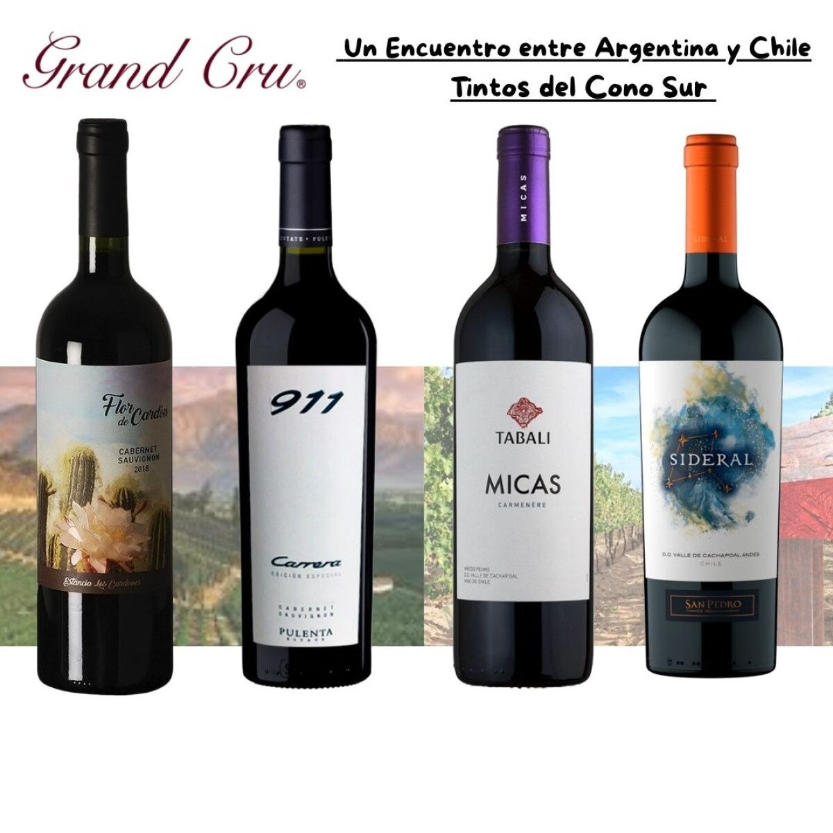 Un Encuentro entre Argentina y Chile 