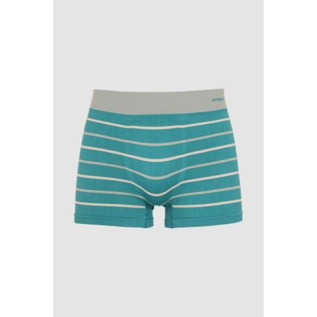 Boxer dublin de microfibra Verde oscuro