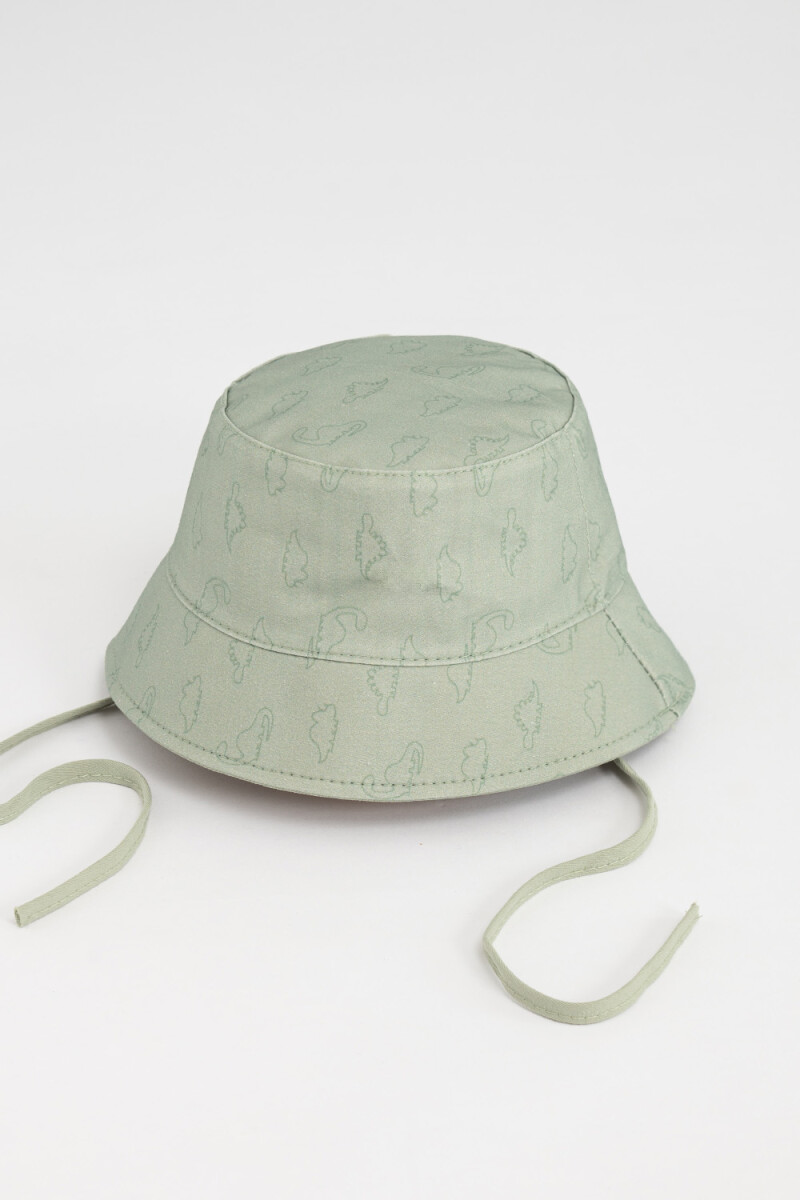 Gorro canvas estampado - Dinosaurio Verde 