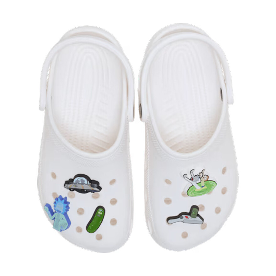 Jibbitz Rick and Morty 5 Pack Multicolor