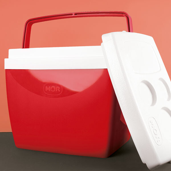 CONSERVADORA 26 LTS.ROJA 43X29X39 ROJO