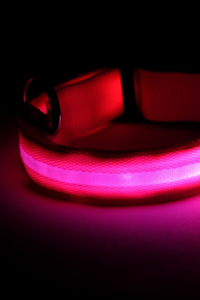 Collar con luz LED recargable rosa