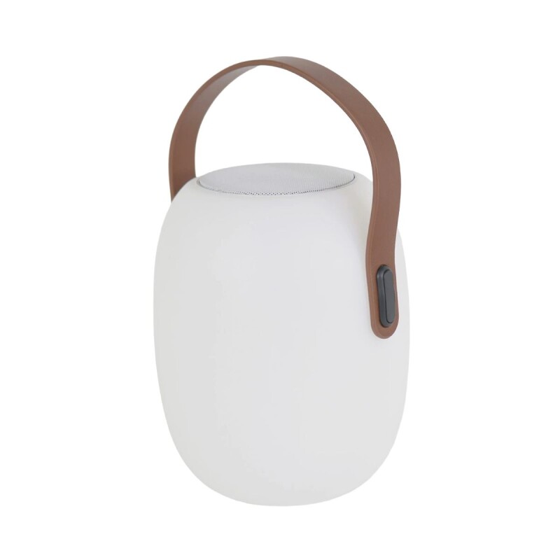 SPEAKER C/LUZ A BLUETOOH C/CONTROL Y USB18X25CM Unica