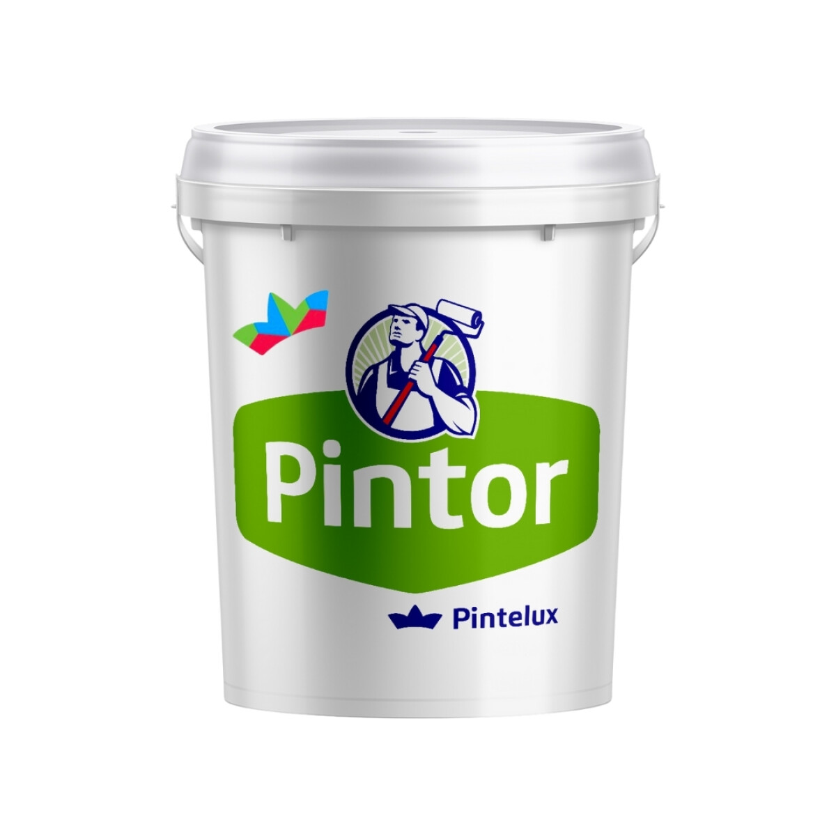PINTOR INTERIOR/EXTERIOR PLUS- 3.6LTS 
