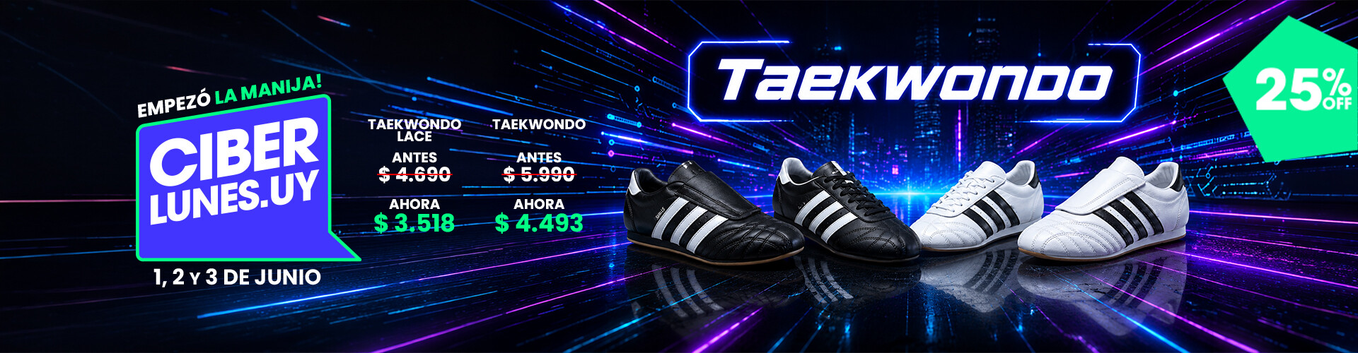 CIBER LUNES TAEKWONDO