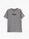 REMERA SUKIL PRINT GRIS (V)