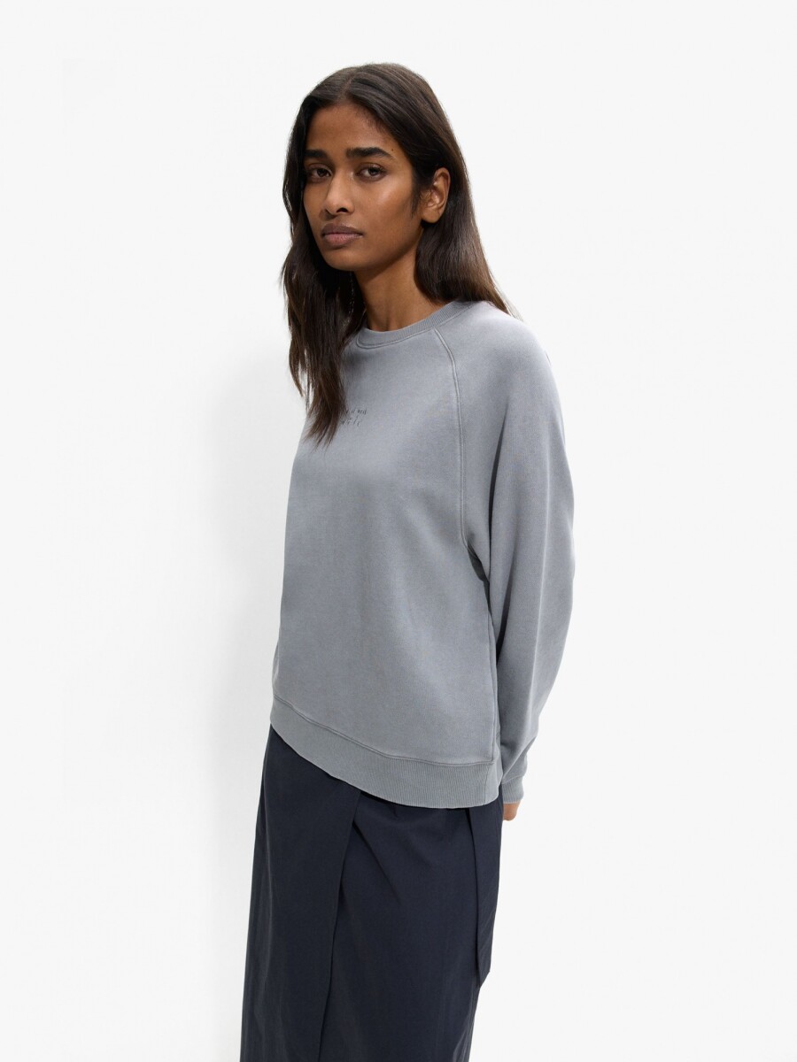 Sudadera De Algodón Con Bordado gris