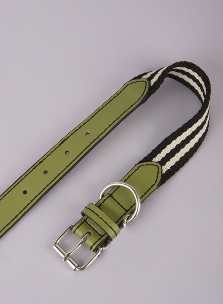 Collar perro pequeño  strap Verde mili/esmeralda