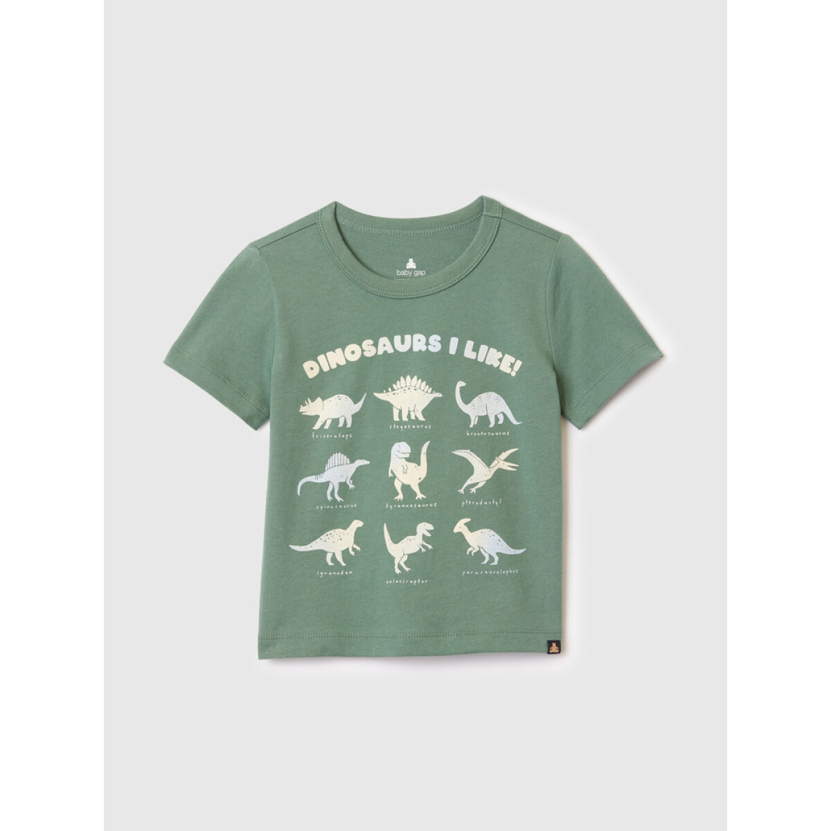 PTF SS GRAPHIC SU24 - DARK FOREST 18-5611 TC 