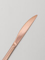 Cuchillo Asher Set 4 Un. Rose Gold Color Unico