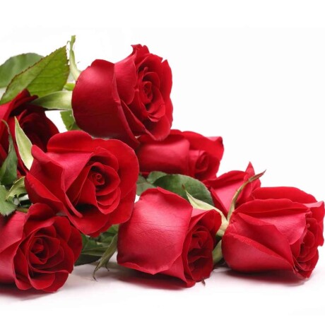 Ramo de rosas naturales 6 rosas