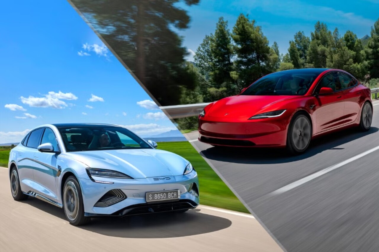tesla-vs-shark.jpg