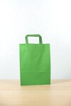 Bolsa lisa acuario 22x10x30 cm VERDE