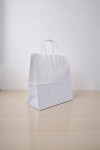 Bolsa lisa luna 22x10x24 cm BLANCO