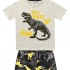 Conj. para niños (camiseta y shorts) GRIS