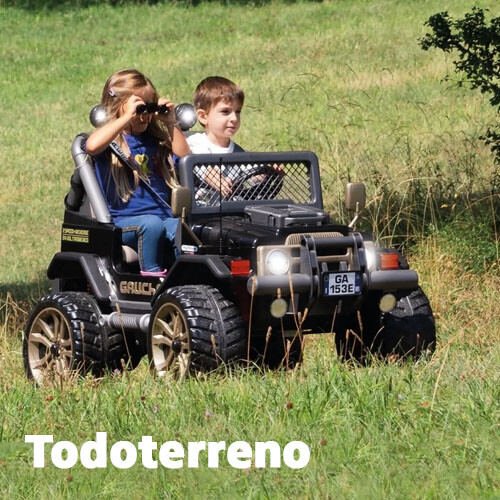 Peg Perego Autos a Batería