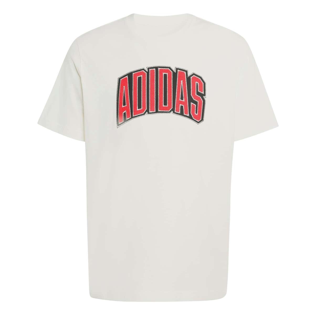 Remera Stadium Collegiate Graphic De Hombre - Blanco 