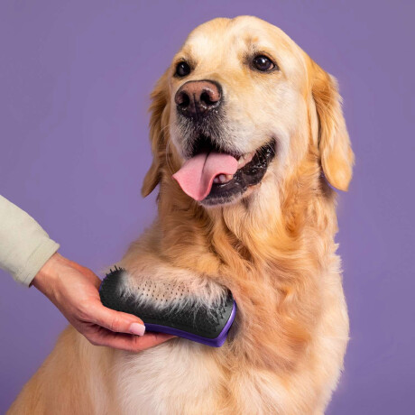 Cepillo Para Mascotas Quita Pelo Tangle Teezer Pet De-shedding Cepillo Para Mascotas Quita Pelo Tangle Teezer Pet De-shedding