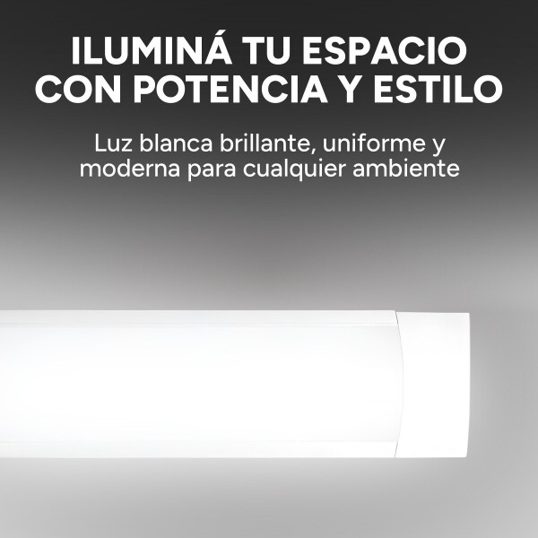 Tubo Luz Led Fría 40W 120Cm Artefacto Para Pared Techo Variante Blanca