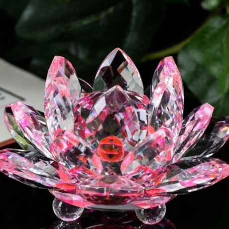 Flor De Loto Chica Rosa
