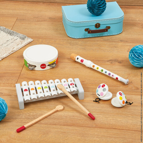 Set de Instrumentos Musicales Janod F7600 001