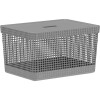Organizador Rejilla M l Tapa Plástico Gris