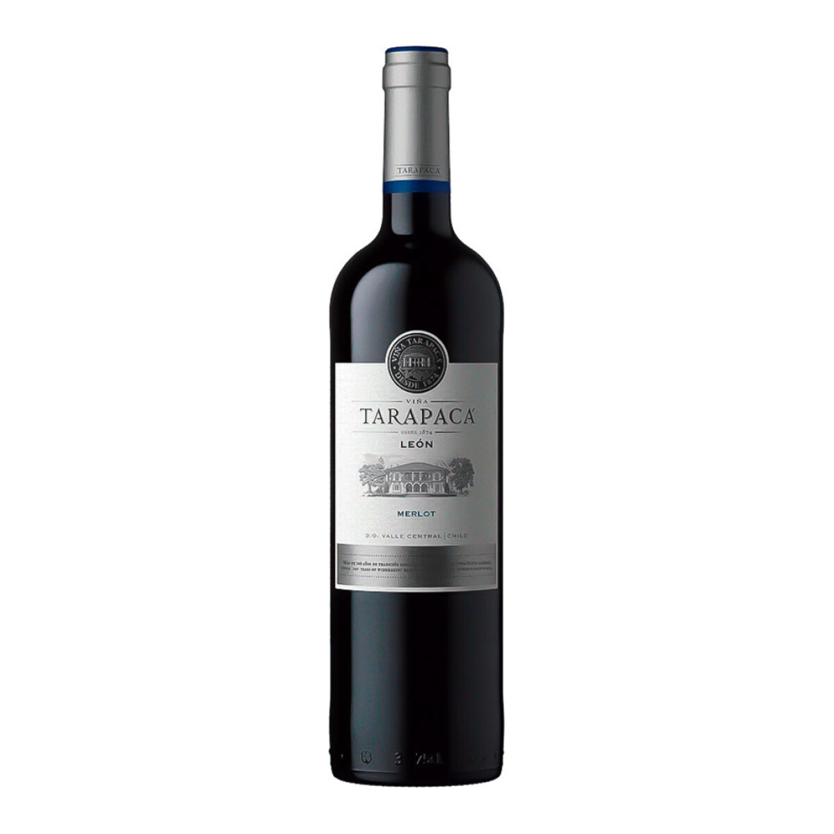 Merlot León de Tarapacá 