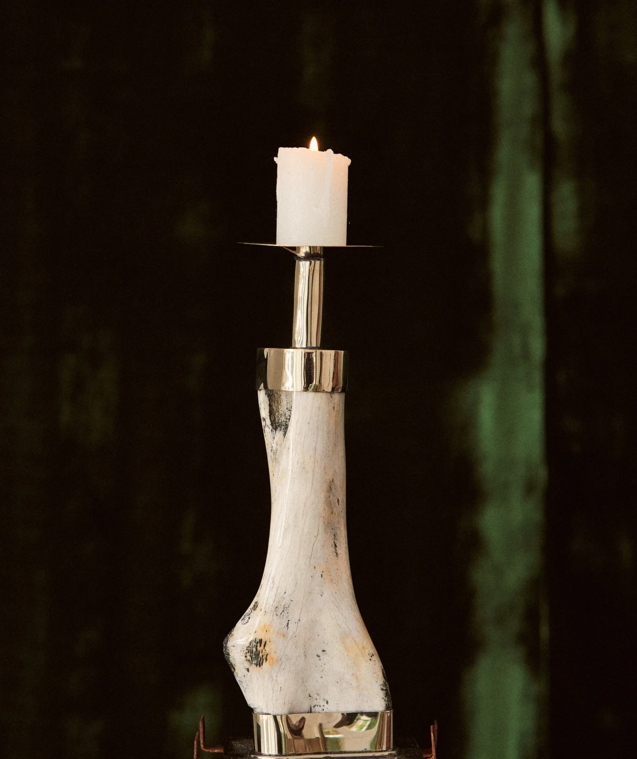 Bone Chandelier - Grande