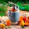 Exprimidor de Frutas Vintage 929/772 Ariete Exprimidor de Frutas Vintage 929/772 Ariete