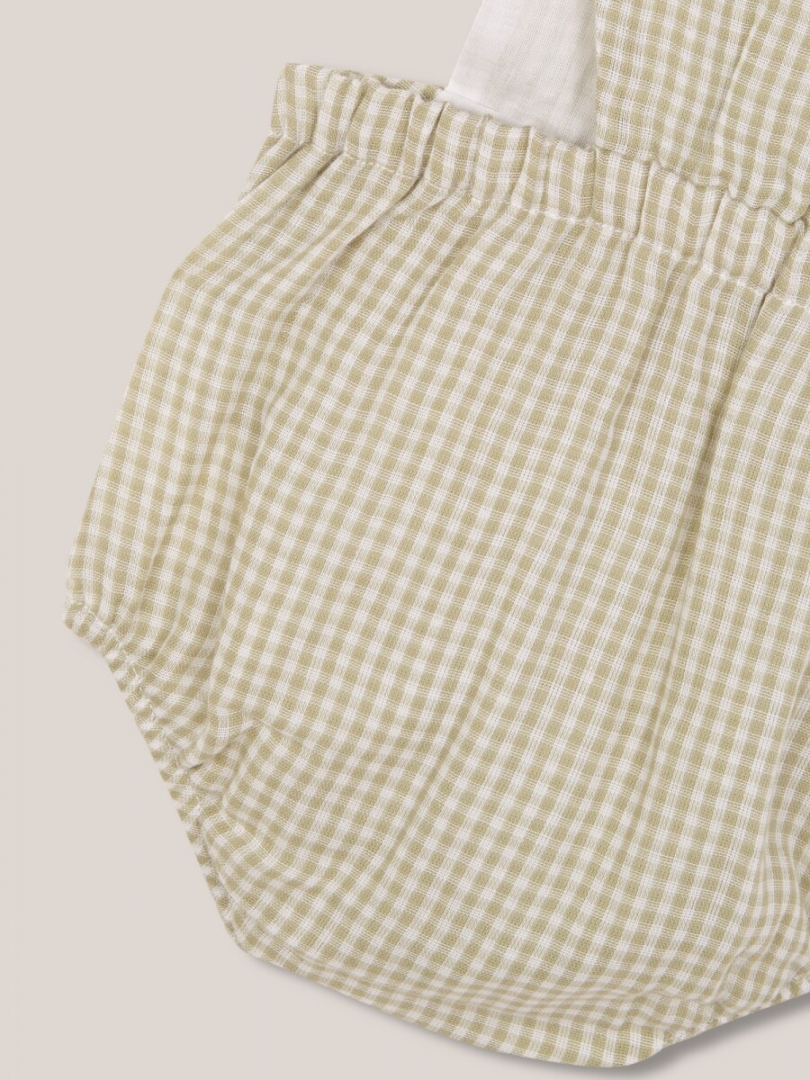 Ranita De Vichy Blanco