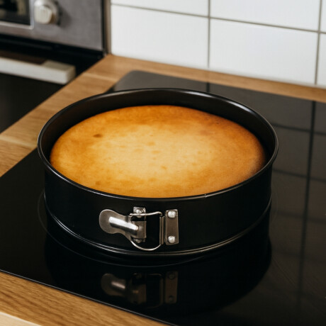 Tortera de teflón con precinto 28x7 cm Tortera de teflón con precinto 28x7 cm