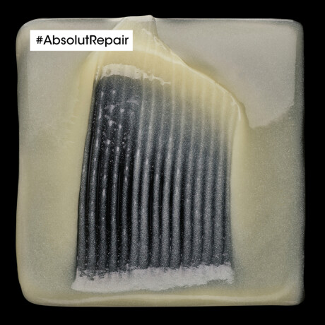 Mascarilla Capilar L'Oréal Professionnel Absolut Repair Golden 250ml Mascarilla Capilar L'Oréal Professionnel Absolut Repair Golden 250ml