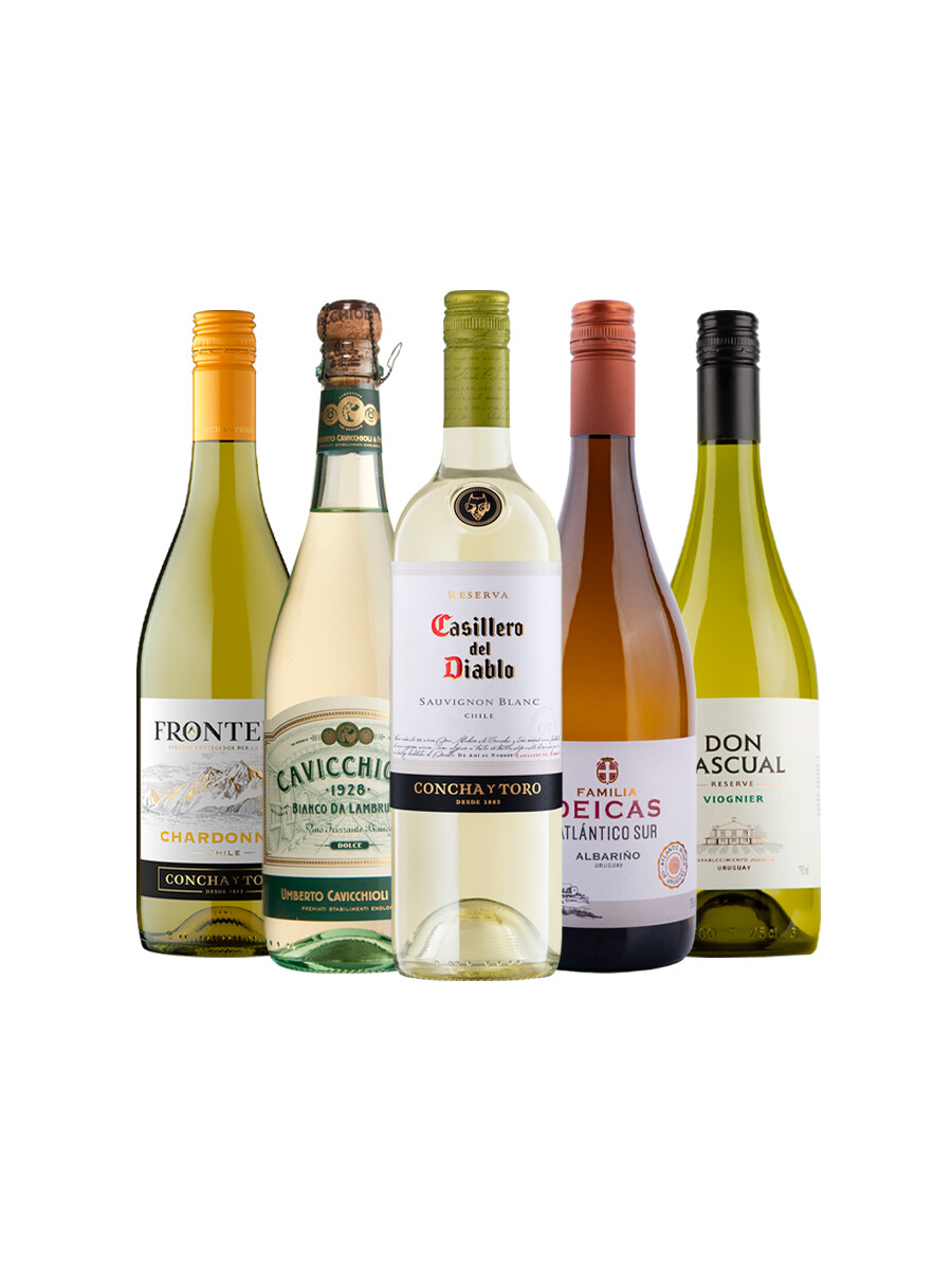 Pack Bacán Selección Dias Claros x5 vinos Pack Bacán Selección Dias Claros x5 vinos