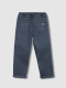 Pantalon Carpenter Gris Azulado