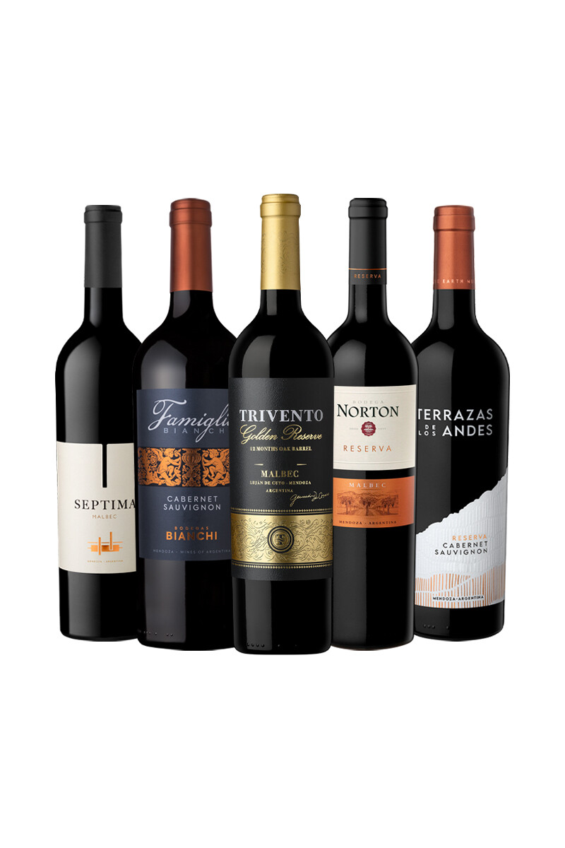 Pack Bacán Selección Mapa del Sur x5 vinos Esencia Argentina 