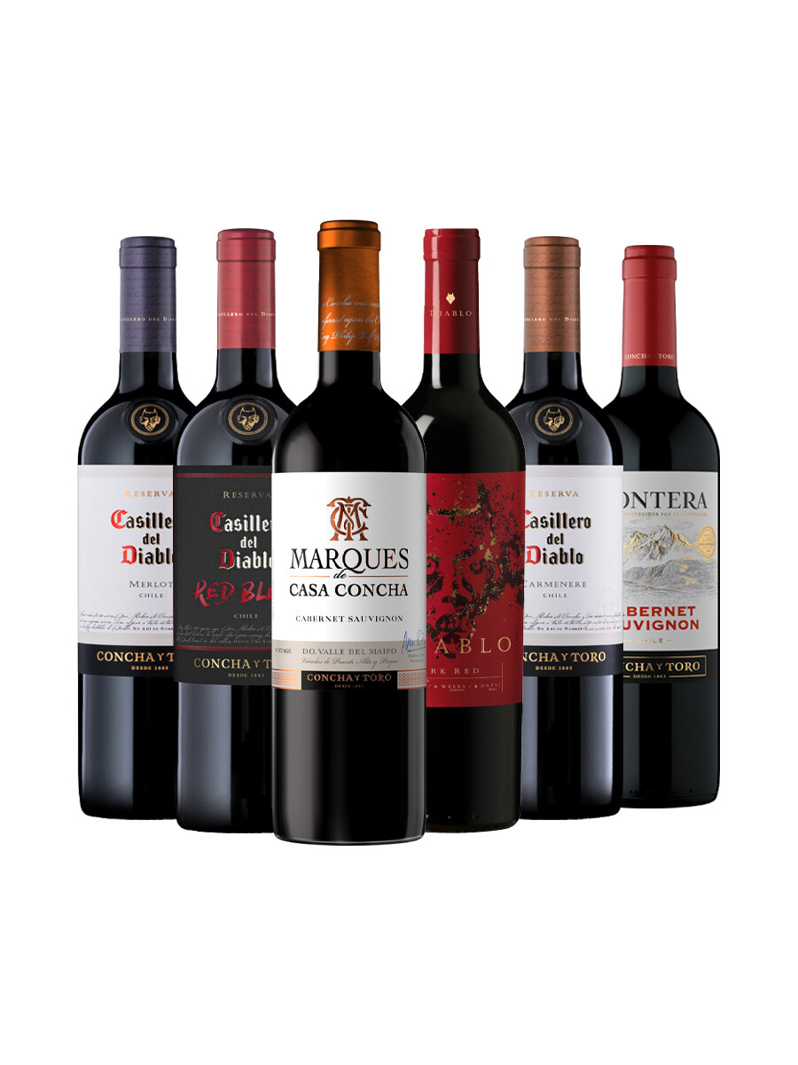 Pack Bacán Selección Bacanazo Fin de Año x6 vinos chilenos Pack Bacán Selección Bacanazo Fin de Año x6 vinos chilenos