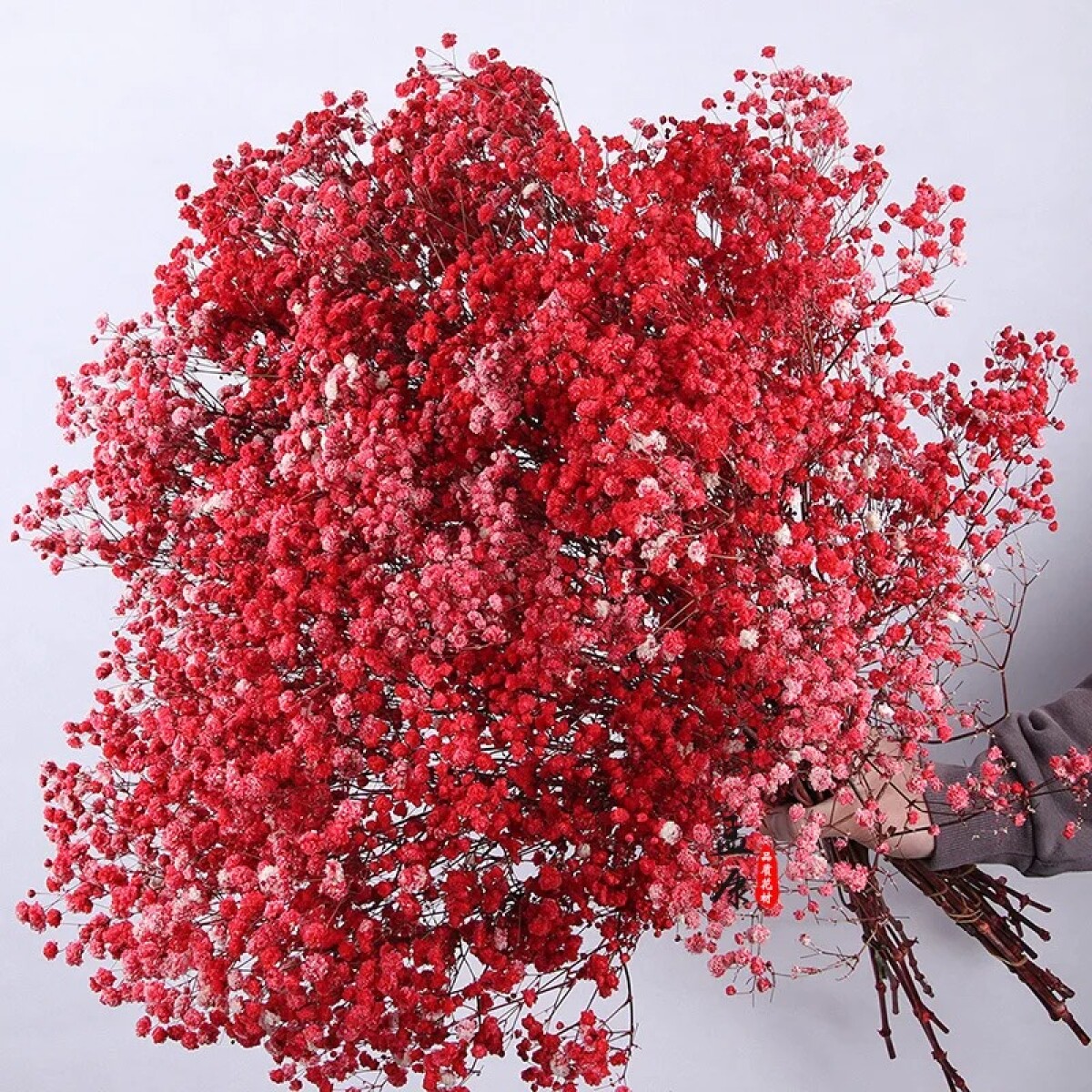 Ramo Frondoso De Flores Secas - Rojo 