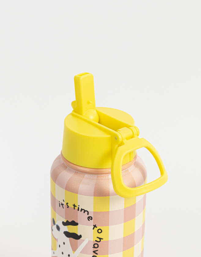 Accesorios Cocina Animalito Botella Metálica "it´s Time To Have Fun" - Combinacion Multicolor