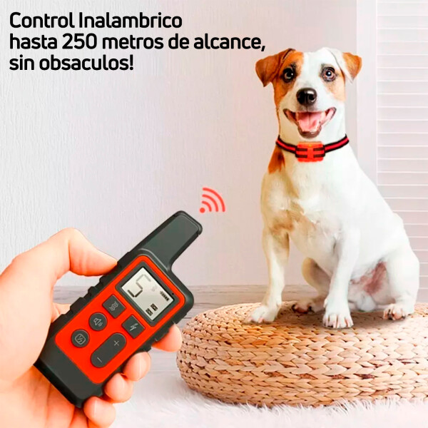 Collar Antiladridos Control Remoto Sumergible Entrenamiento Variante Color Rojo